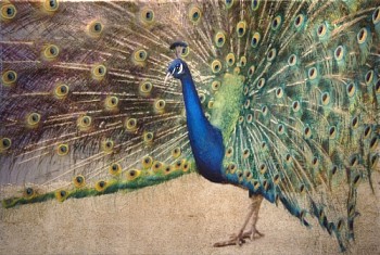 Susan Goldsmith - Eyes Only For You &bull;