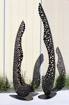 Tyler Aiello - Sarracenia 1