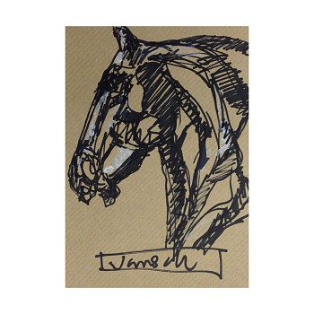 Work: Heather Jansch My Hero