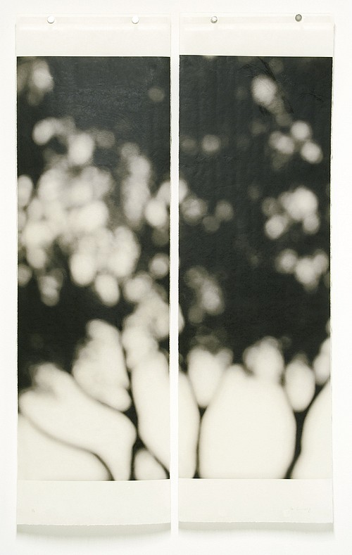 Jeri Eisenberg, On the Rim,  #1/12
Archival Pigment Ink on Kozo Paper Infused with Encaustic Medium, 36 x 22 1/2 in.
5363