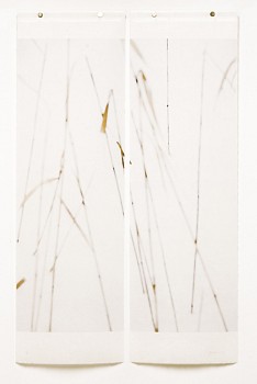 Work: Jeri Eisenberg Winter Grasses, No. 3,  #3/12