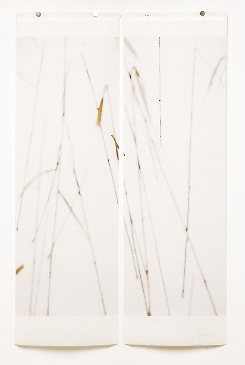 Jeri Eisenberg, Winter Grasses, No. 3,  #3/12
Archival Pigment Ink on Kozo Paper Infused with Encaustic Medium, 36 x 22 1/2 in.
5370