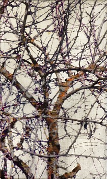 Work: Susan Goldsmith Till Next Spring