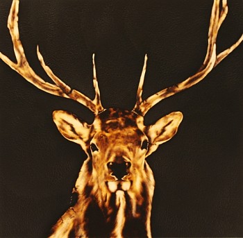 The Fete at Diehl Gallery&nbsp;