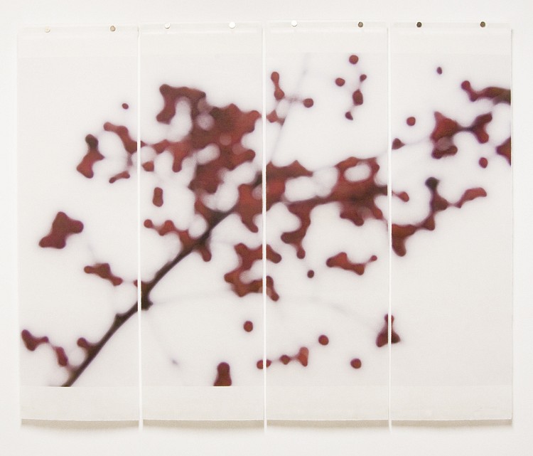 Jeri Eisenberg, Crabapple (Fall), No.2, 2008
Archival Pigment Print, 36 x 45 1/2 in.