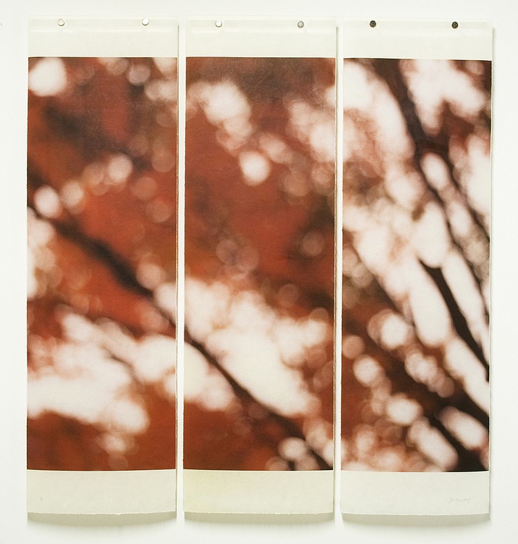 Jeri Eisenberg, Red Maple Detail, No. 3, 2006
Archival Pigment Print, 36 x 34 in.