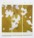 Jeri Eisenberg, Sugar Maple Splash (Yellow)
2008, Archival Pigment Print