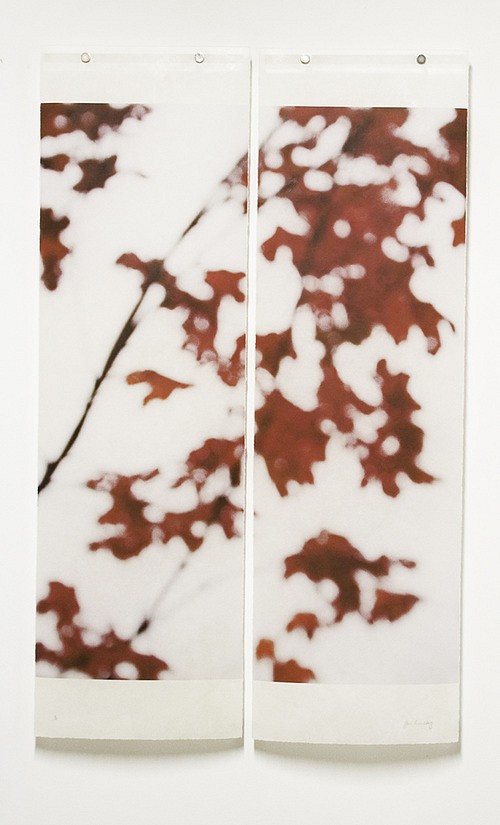 Jeri Eisenberg, Sugar Maple Flutters (Red), 2007
Archival Pigment Print, 36 x 22 1/2 in.
&bull;
