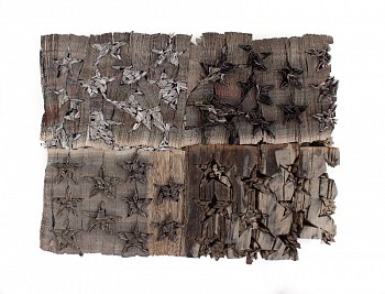 Work: Kate Hunt Star Field Study