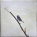 Peter Hoffer, Black Capped Chickadee 3
2015, Encaustic, Acrylic, and Clay on Linen