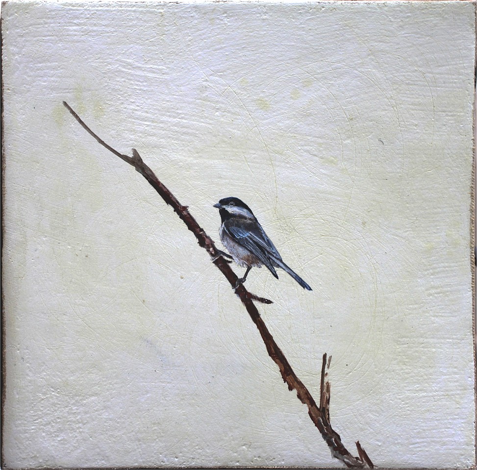 Peter Hoffer, Black Capped Chickadee 3, 2015
Encaustic, Acrylic, and Clay on Linen, 24 x 24 in.
&bull;