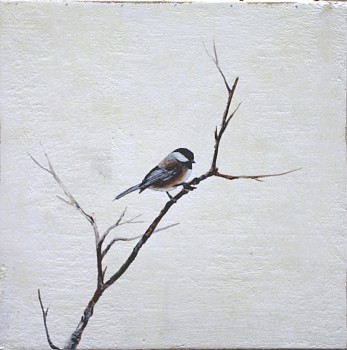 Work: Peter Hoffer Black Capped Chickadee 4 &bull;
