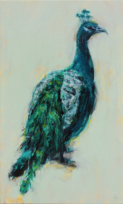 Angie Renfro, Peacock, 2015
Oil on Panel, 18 x 11 in.