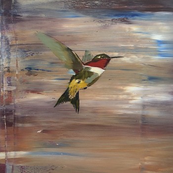 Work: Douglas Schneider Hummingbird 1 &bull;