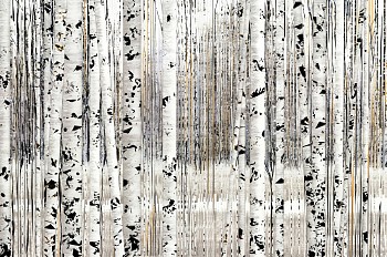 Work: Snow Falling and Ice and Aspens &bull;