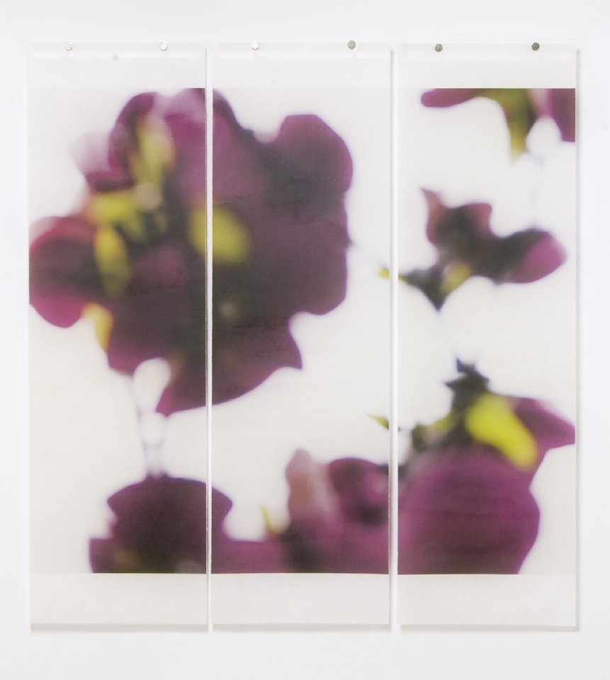 Jeri Eisenberg, Dark Magnolia, No. 4, 1/12
Archival Pigment Ink on Kozo Paper Infused with Encaustic Medium, 34 x 36 in.
6010
