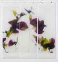 Jeri Eisenberg, Dark Magnolia, 2/12
Archival Pigment Ink on Kozo Paper Infused with Encaustic Medium