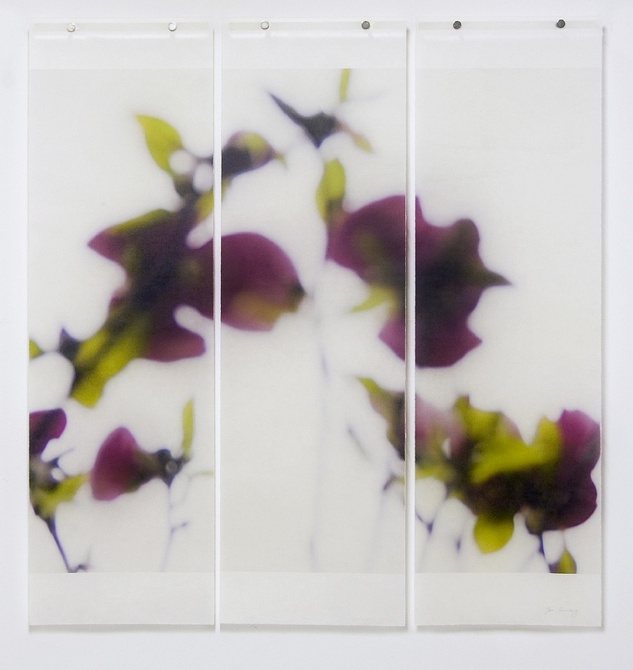 Jeri Eisenberg, Dark Magnolia, 2/12
Archival Pigment Ink on Kozo Paper Infused with Encaustic Medium, 34 x 36 in.
6009
&bull;