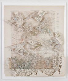 Past Exhibitions: Claire Brewster: A Conference of Birds Sep  9 - Oct 31, 2016