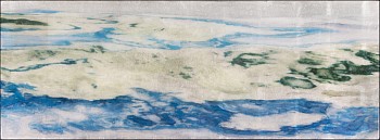 Work: Susan Goldsmith Oceana