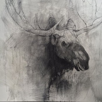 Helen Durant: New Works 