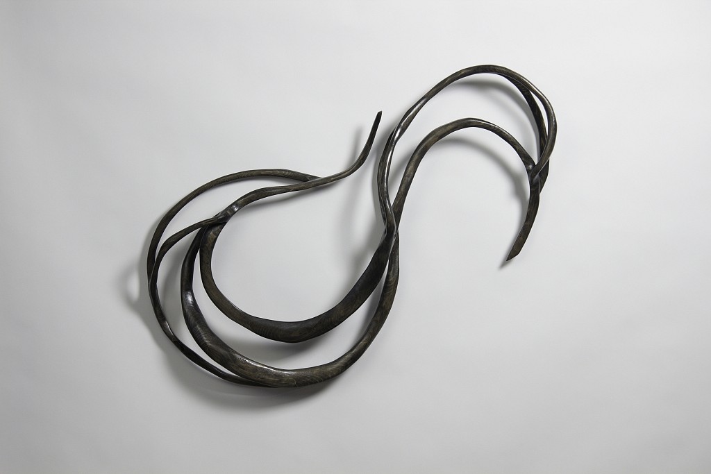 Caprice Pierucci, Small Charcoal Rope, 2015
Pine, 29 x 40 x 5 in.