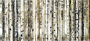 Work: Pines & Aspens with Distant Mountain &bull;