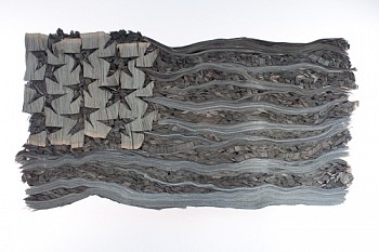 Work: Kate Hunt The Congressional Record &bull;