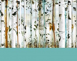 Past Exhibitions: Anastasia Kimmett: An Impression of Trees Feb 18 - Apr  8, 2017