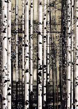 Work: Tree and Telephone Line &bull;