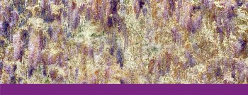 Susan Goldsmith: Natural Alchemy&nbsp;