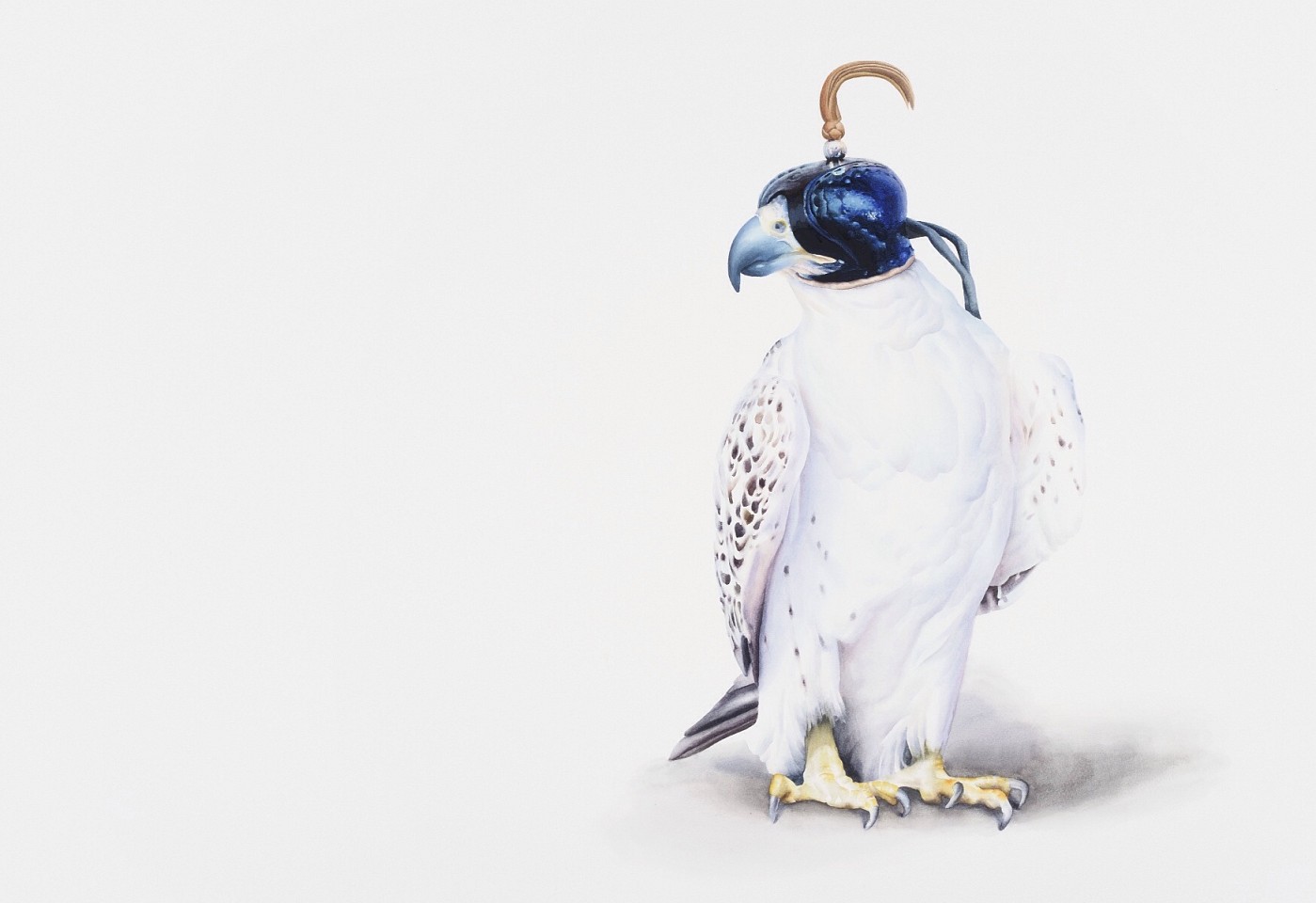 Peter Haslam-Fox, Hawk
27 x 39 in.
bird, raptor, watercolor, UK, hunting