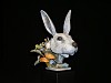 Gall Rabbit 002