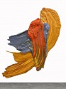 Donald Martiny, Alzette
Polymer and Pigment Mounted on Aluminum