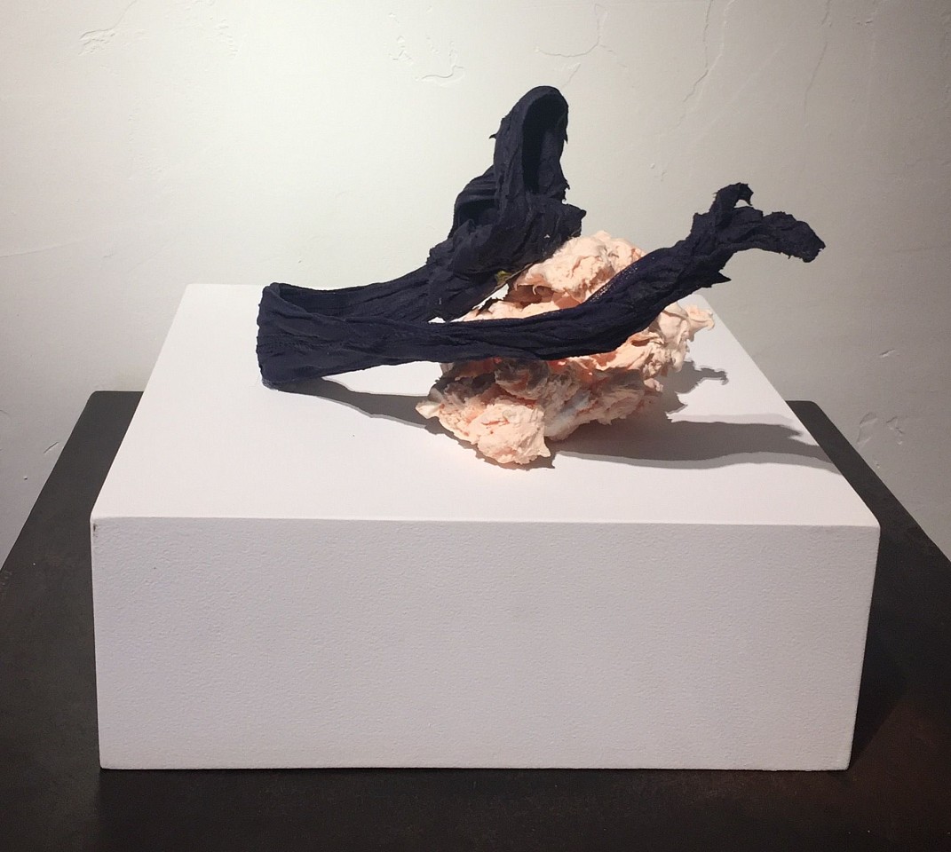 Donald Martiny, Untitled Sculpture IV
Paint and Gauze, 9 x 11 x 11 in.
06593