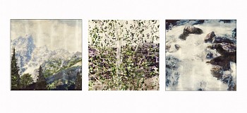 Work: Les Trois Tetons