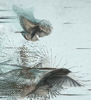 Artist: Dennis Hlynsky