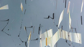 Work: Waterbugs on a Rainy Day (Video)