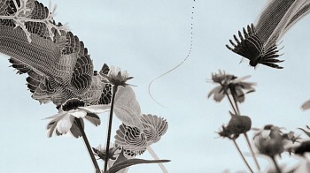 Work: Cloudyspot (Still)