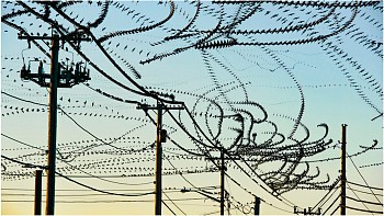 Work: Mapping Heaven (Video)