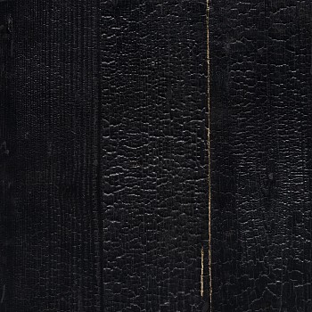 Work: Miya Ando Shou Sugi Ban Kintsugi: Light Came From Inside The Temple 2 &bull;
