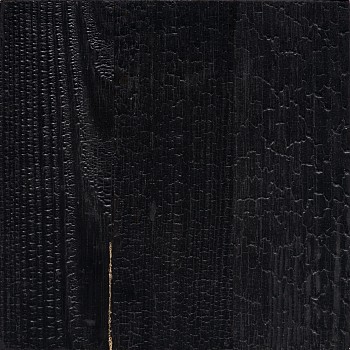 Work: Miya Ando Shou Sugi Ban Kintsugi: Light Came From Inside The Temple 4 &bull;