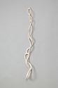 Caprice Pierucci, White Rope I
Pine