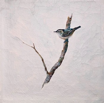 Work: Peter Hoffer Nuthatch 2 &bull;