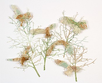 Work: Claire Brewster Can't See The Wood &bull;