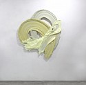 Donald Martiny, Ani
Polymer and Pigment Mounted on Aluminum