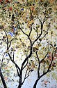 Anastasia Kimmett, Tree Of
Mixed Media
