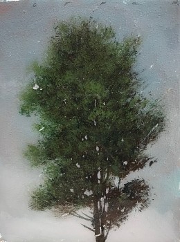 Work: Peter Hoffer Cameo Portrait 36