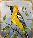 Chris Reilly, Make Hooded Oriole
2020, Encaustic & Mixed Media on Panel