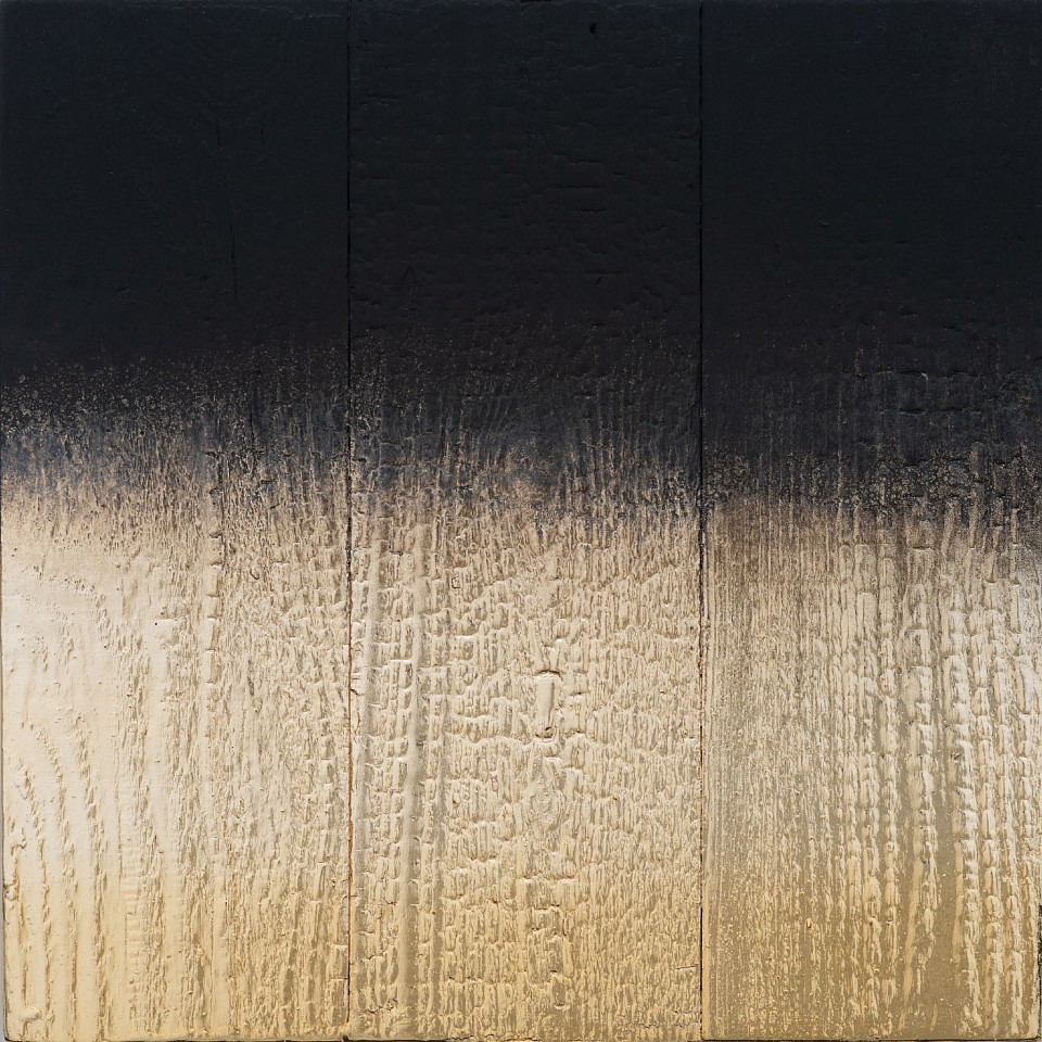 Miya Ando, Shou Sugi Ban Pale Gold
Charred Redwood, Silver Nitrate, and Pigment, 12 x 12 in. (30.5 x 30.5 cm)
7479
